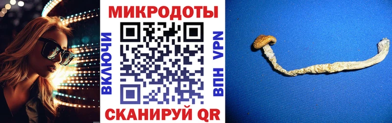 Псилоцибиновые грибы мицелий  где найти   Луга 