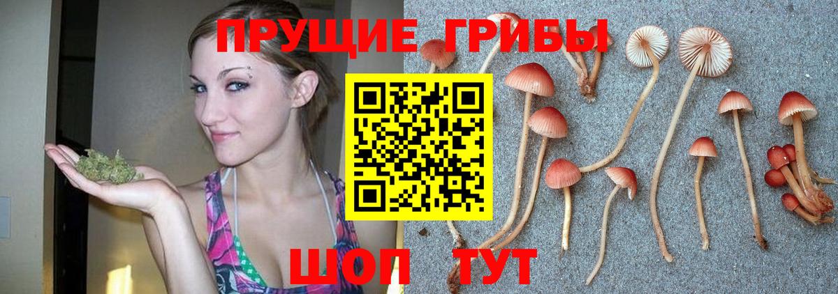 где купить наркоту  Галлюциногенные грибы ЛСД  Вход с VPN  Луга 